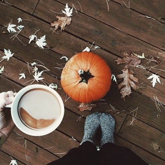 GET COZY!!! 🍁Sweaters, Jackets, Cardigans - Picture 1 of 1